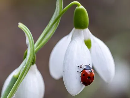 Manifesting Generators: Heal Your Dark Night Of The Soul