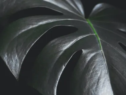 Manifesting Guided Meditation & Visualisation