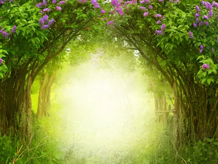 Manifesting Guided Meditation With Pandora