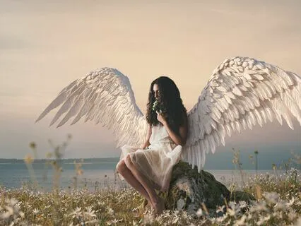 Manifesting Happiness & Fulfillment [333Hz Angel Frequency]