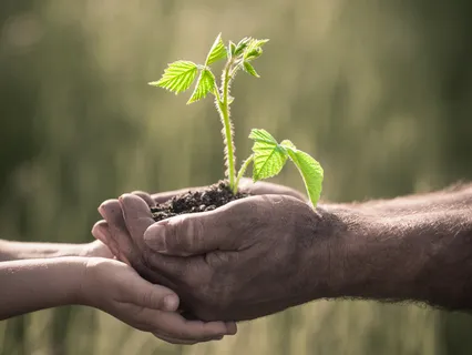 Manifesting Incredible Abundance 