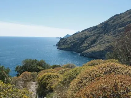 Manifesting Limitless Abundance: Affirmation Practice