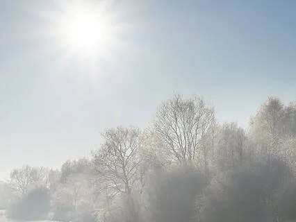 Manifesting Meditation - Winter Garden