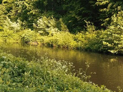 Manifesting Miracles With 4 Elements