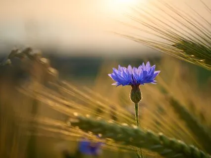 Manifesting My Divine Self In This Human Form