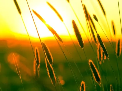 Manifesting Positive Energy