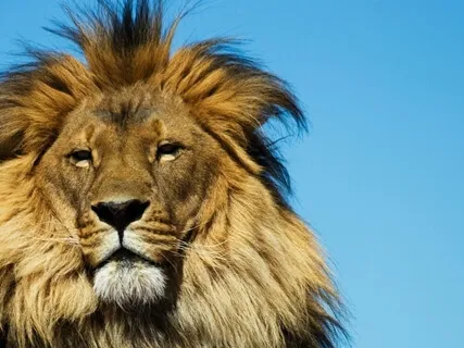 Manifesting Self-Confidence - Manipura Chakra Meditation