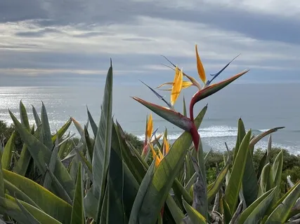 Manifesting Soundscape