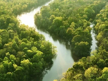 Manifesting Success With 888 Hz Theta Power