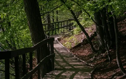 Manifesting The Unreal