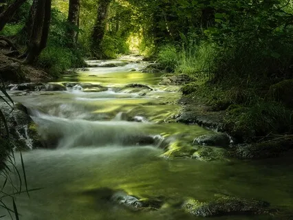 Manifesting Using The Energy Of Your Heart Centre