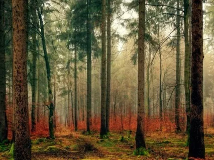 Manifesting Using The Energy Of Your Sacral Centre