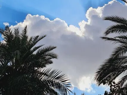 Manifesting Using The Law Of Consciousness