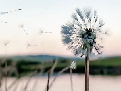 Manifesting What You Want