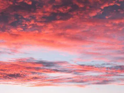 Manifesting With Higher Consciousness