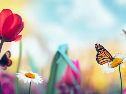 Manifesting With Inner Wisdom