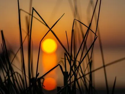 Manifesting With The Chakras