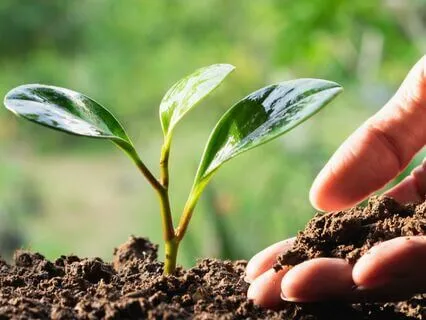 Manifesting Your Deepest Desires