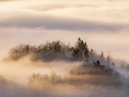 Manifesting Your Dreams