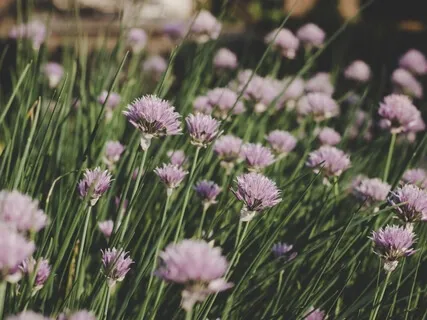 Manifesting Your Future Partner