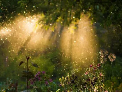 Manifesting Your Reality Guided Meditation