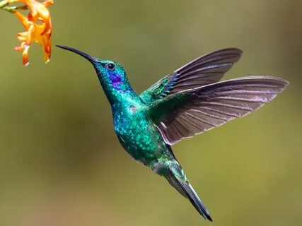 Manifesting Your Reality