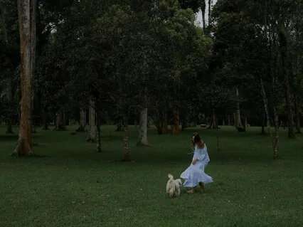 Манифестация Желаний 