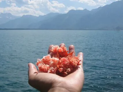 Mantra For Compassion, Wisdom, And Clearing Negativity