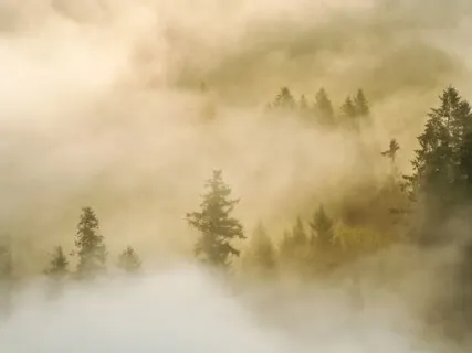 Mantra For Connection: Om Purnamadah