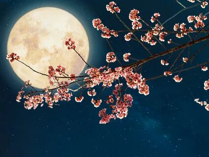 Mantra For Deep Sleep And Dream Recall