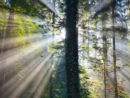 Mantra For Healing & Restoration (Gayatri Mantra) 