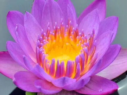 Mantra For Inner Peace - Om Mani Padme Hum