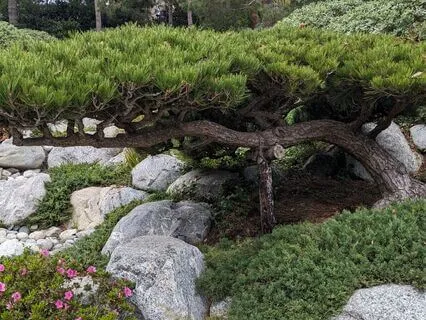 Mantra For Peace | Lokah Samastah Sukhino Bhavantu