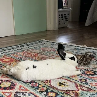 Mantra For Peace: Om Shanti Om