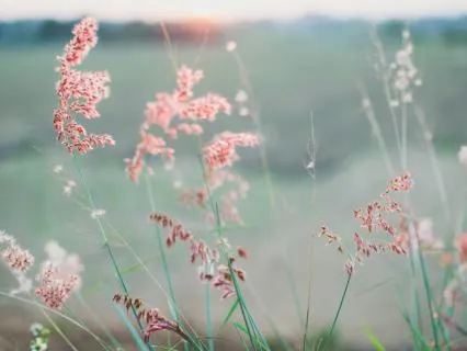 Mantra For Relaxation And Peace