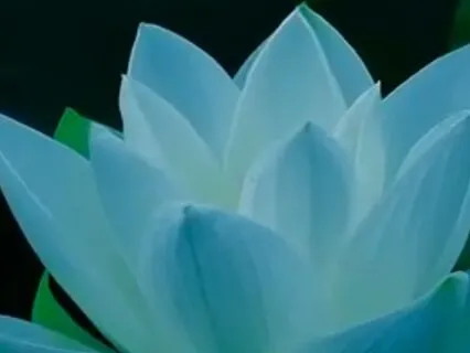 Mantra - I Am Grounded, I Am Secure, I Am At Peace