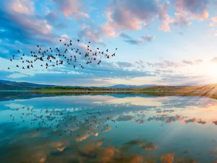 Mantra - Ik open mijn armen en zing voor jou