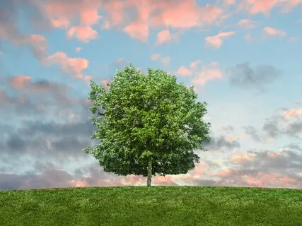 Мантра Изобилия - Благодарю за мое БОГатство