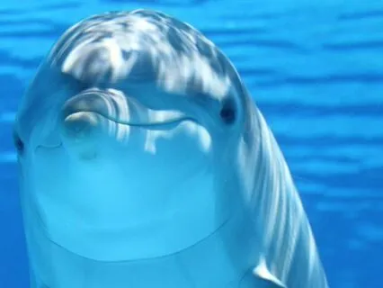 Mantra Lokāḥ samastāḥ