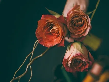 Mantra Meditation For Gratitude (All Levels)