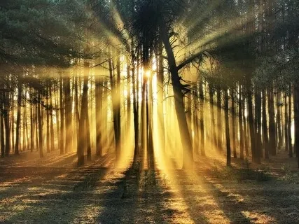 Mantra Meditation For Connection & Contemplation