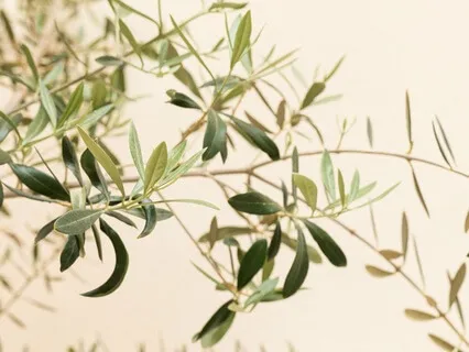 Mantra Meditation For Focus And Peace