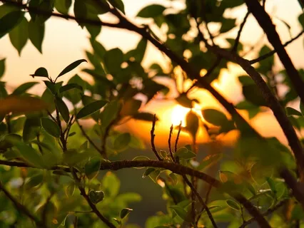 Mantra Meditation For Vata Dosha