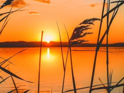 Mantra Meditation (Radiant Light)