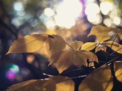 Mantra Meditation: So-Hum