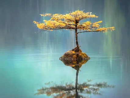 Mantra Meditation So Hum