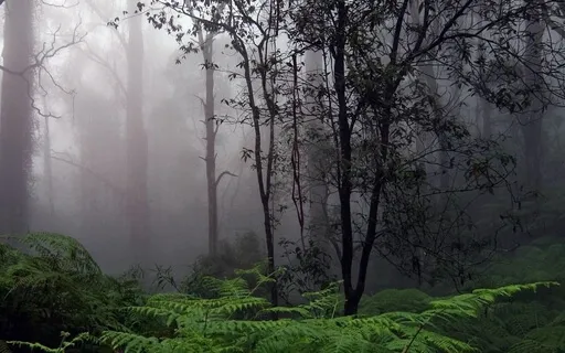 Mantra Meditation To Help Empower You & Your Boundaries