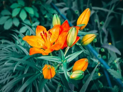 Mantra Meditation To Let Go Of Negative Emotions