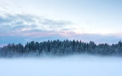 Mantra Meditation - Vishwa Shakti Avaham 