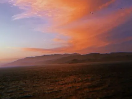 Release & Reconnect To Self